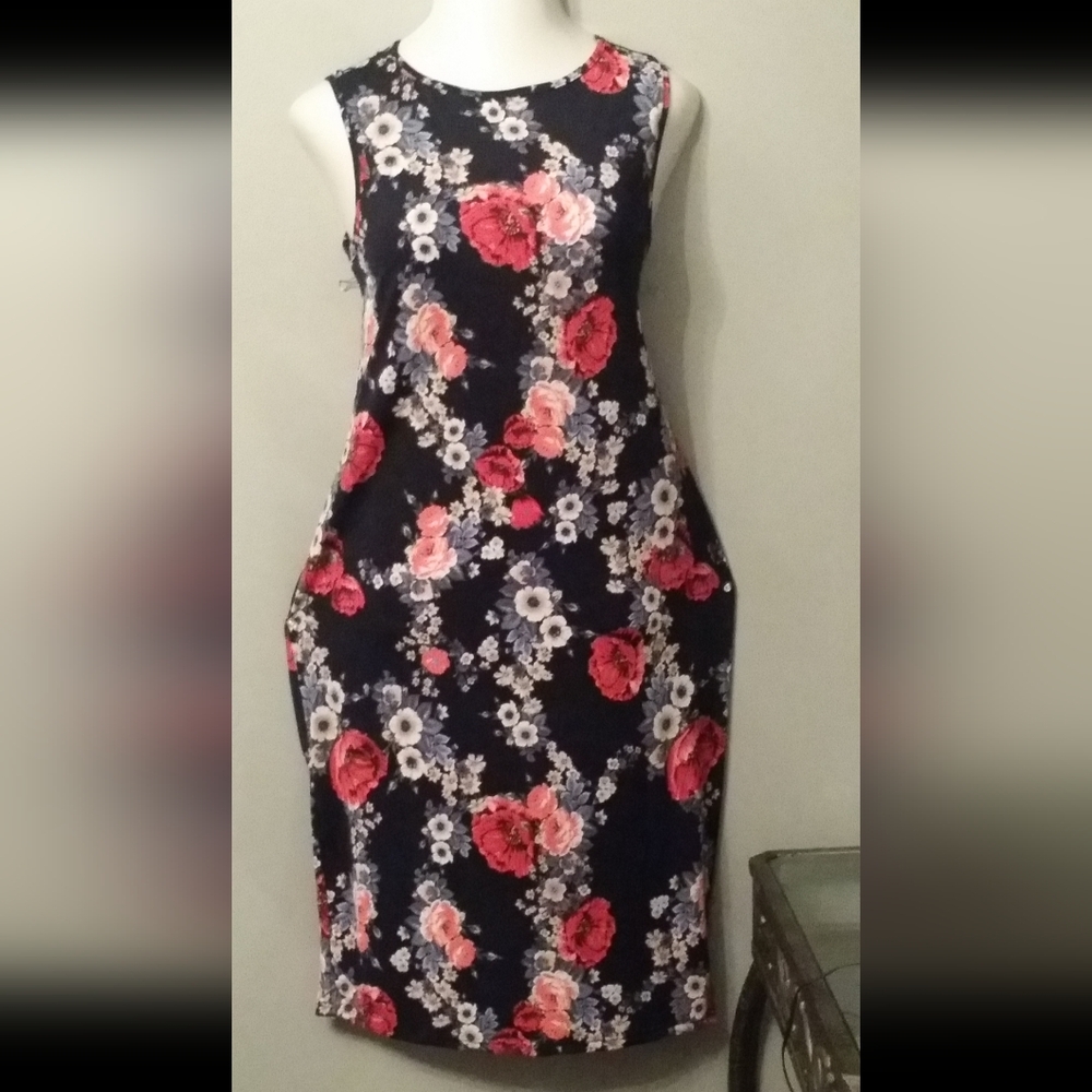 Floral Sleeveless Dress - Black and Pink